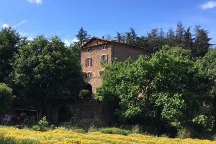 Bastide de Pouzes avec champ d'immortelle