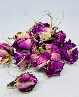 Rose centifolia de Pouzes