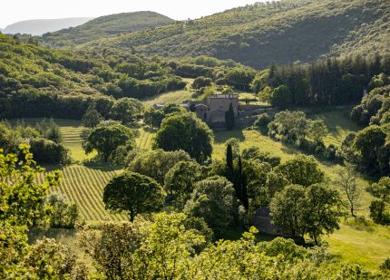 Domaine de Pouzes vue