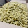 immortelle seche Immortelle bio - 10g