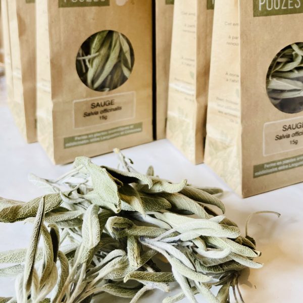 Sauge officinale bio - 15g